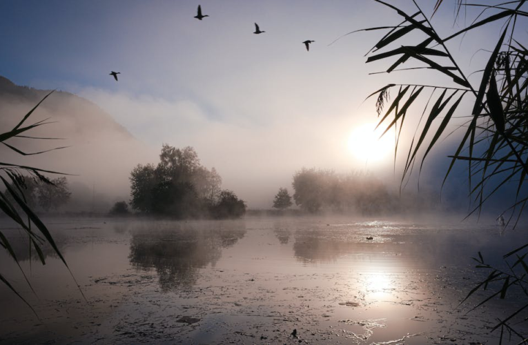 Piękno natury odkryte – Jezioro Pogoria IV w Kuźnicy Warężyńskiej