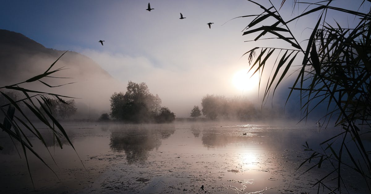 Piękno natury odkryte - Jezioro Pogoria IV w Kuźnicy Warężyńskiej