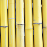 Czy panele bambusowe są trwałym i ekologicznym materiałem do wykończenia wnętrz?