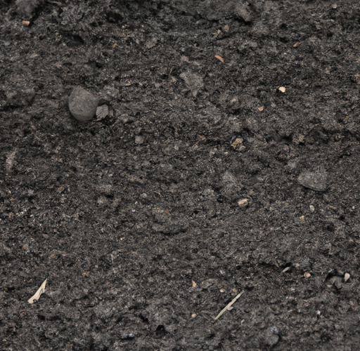 Jak wykorzystać czarnoziem do poprawy żywotności roślin w Twoim ogrodzie?